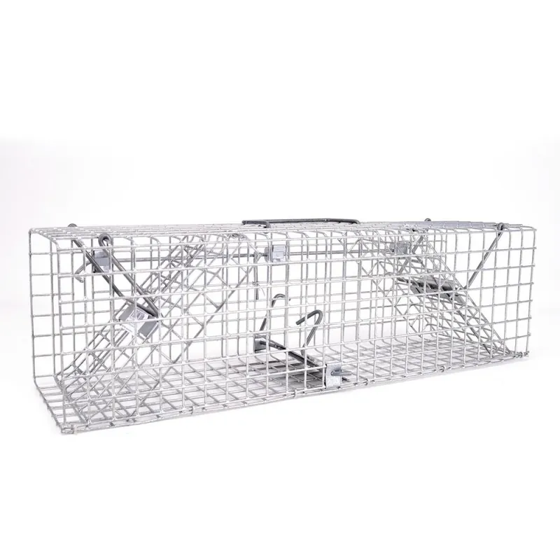 Ofertă de sezon Cușcă-capcană pentru rozătoare 50x14x14cm KLC