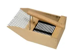 Ofertă purătura de afine