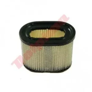 Filtru aer Briggs & Stratton (498596, 690106, 690610, 697029) 95x58x78 Ofertă