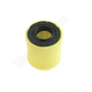 Filtru aer Briggs & Stratton (796032, 591583, 798911) SET 101x75X36 Premium