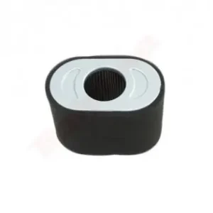 Cel mai vândut Filtru aer Briggs & Stratton (797032)