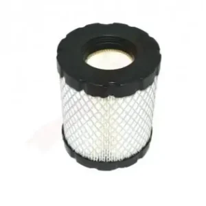 Filtru aer Briggs & Stratton (798897) Super ofertă