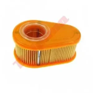 Filtru aer Briggs & Stratton DOV 700 (792038, 790388) 120x77x55 Comandă acum