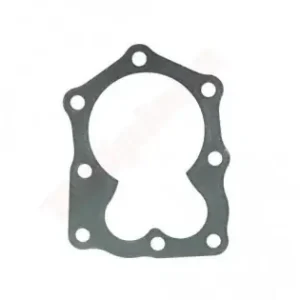 Super ofertă Garnitura chiulasa motor BRIGGS & STRATTON 799875, 692249, 272200, 272916