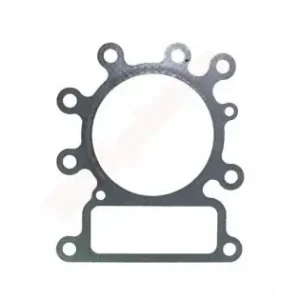 Cumpără online Garnitura de chiuloasa motor Briggs & Stratton (272614, 273280)