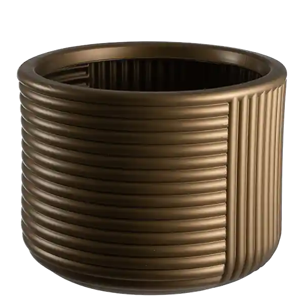 Premium Ghiveci ?45, Gold IRA CRI