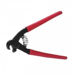 Cleste papagal rupt faianta Dedra Calitate înaltă