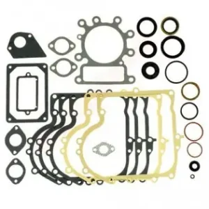 Super ofertă Set garnituri motor Briggs & Stratton 21 (495993)