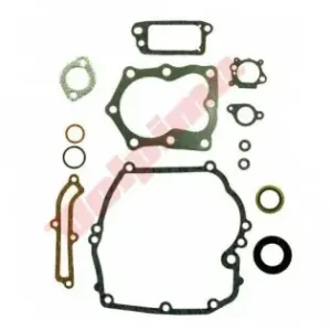 Set garnituri motor motosapa / motocultorBriggs & Stratton 14 piese QUANTUM (493263, 496117, 497316) Discount