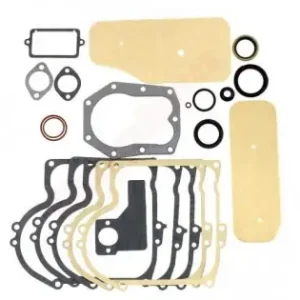 Reducere extra Set garnituri motosapa / masina tuns gazon cu motor Briggs & Stratton 19piese (393411)