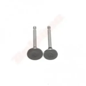 Livrare rapidă Set supape motocoasa Honda GX 35 (motor in 4 timpi) (14721-Z0Z-000)