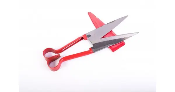 Ofertă Foarfec oaie ROSU ECO