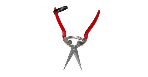 Reducere de preț Foarfeca de cules legume/fructe, lungime lama 70 mm, dreapta, Micul Fermier GF-1704