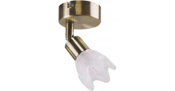 Chilipir Spot Bara Posy Alb+Alama 1XG9 40W