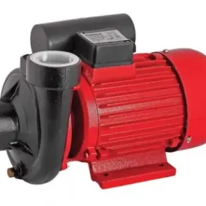 Ofertă de sezon Pompa de apa 1500W RD-2DK20 Raider