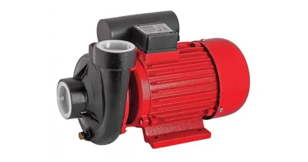 Ofertă de sezon Pompa de apa 1500W RD-2DK20 Raider