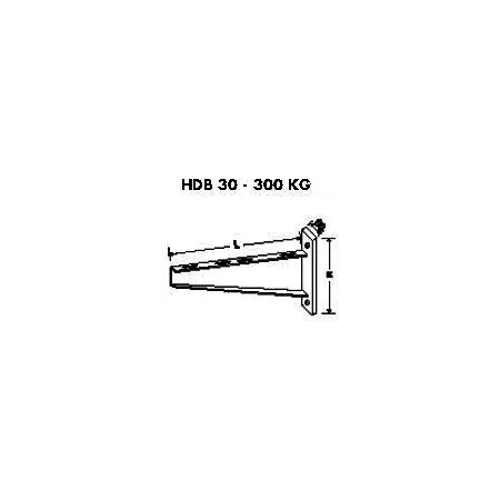 Ultima șansă Suport perete 300kg-200mm Elvan