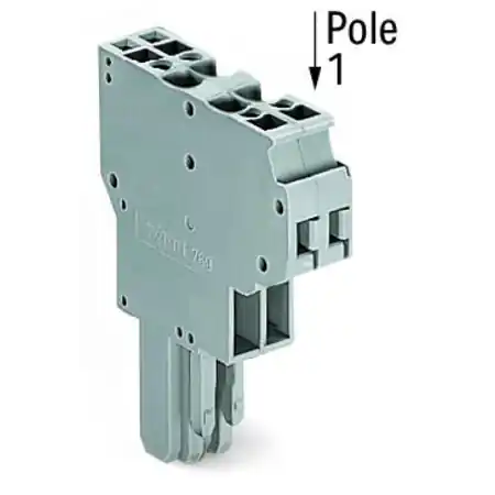 2-conductor female connector; 4 mm²; 4-pole; 4,00 mm²; gray Wago Popular